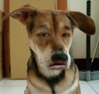 �W�Ƿ|���Gmasslzg
�U�����ơG505